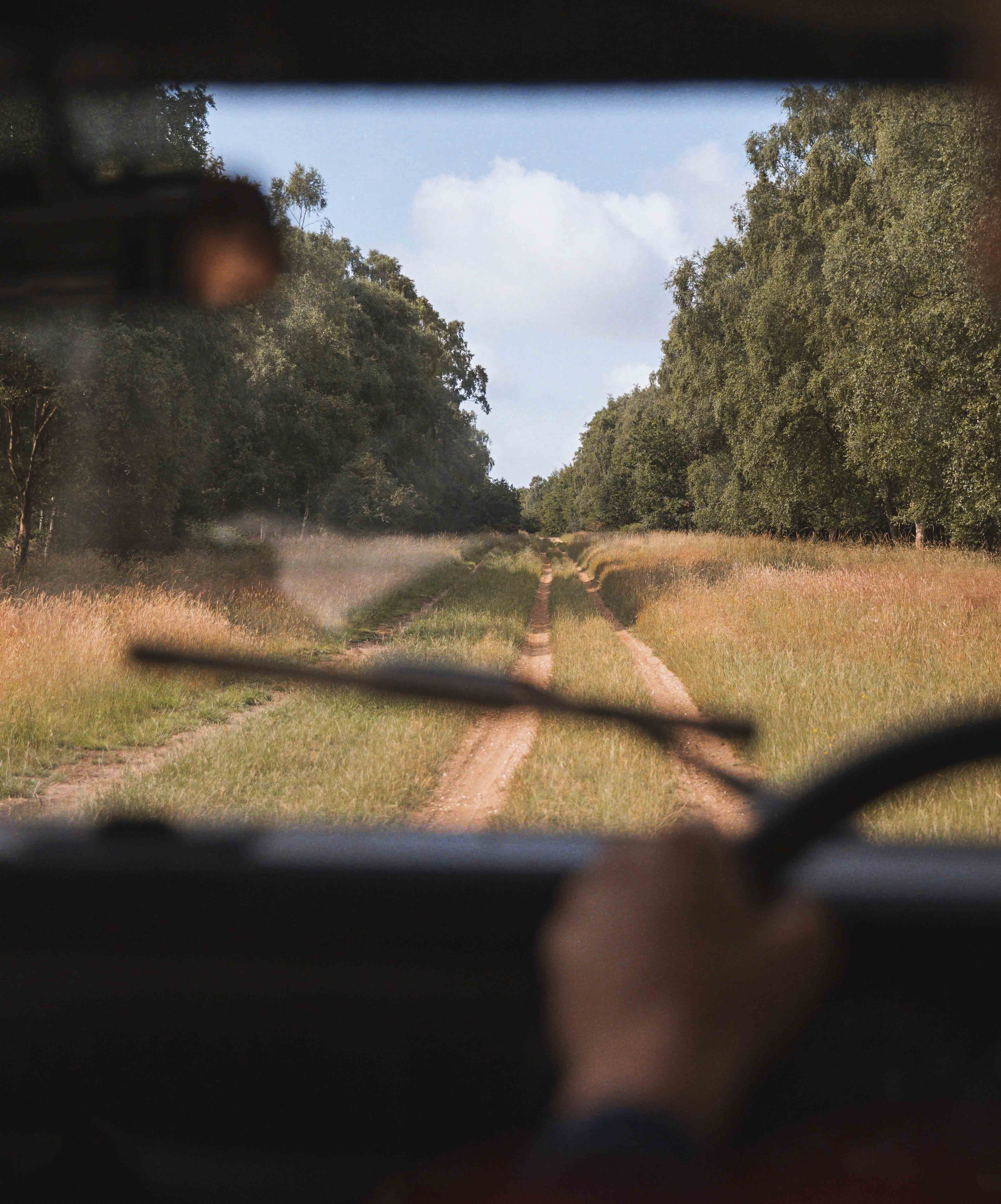 Driving track through Thetford Forest