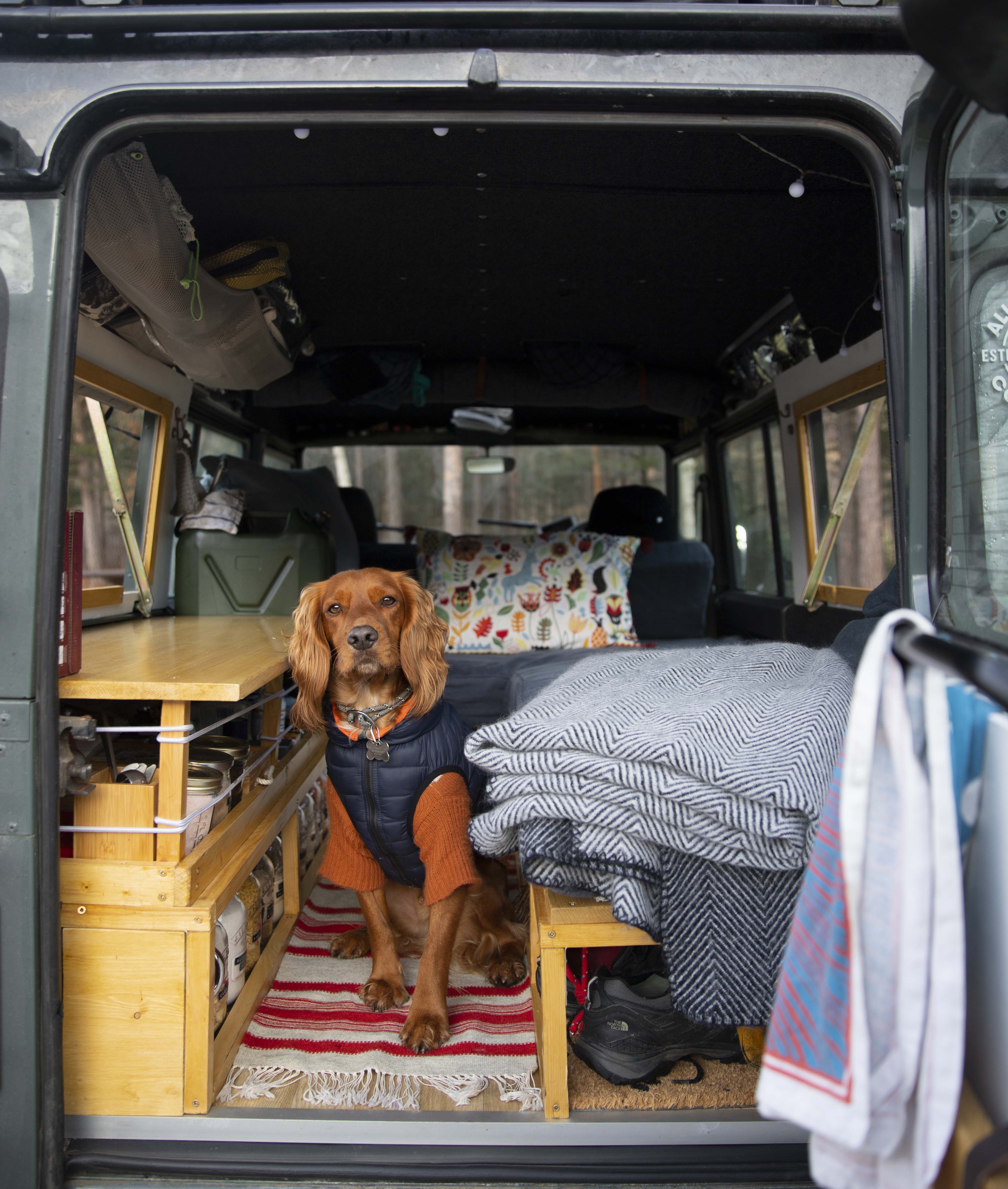 Henry in our Land Rover Defender Camper